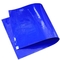 Κολλώδη χαλιά χρήσης ESD αποστειρωμένων δωματίων PE υλικά 30 στρώματα μπλε